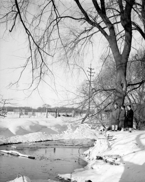 Emmanuel Missionary College Campus Scenes (Winter) (Lemon Creek)
