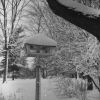Emmanuel Missionary College Campus Scenes (Winter)