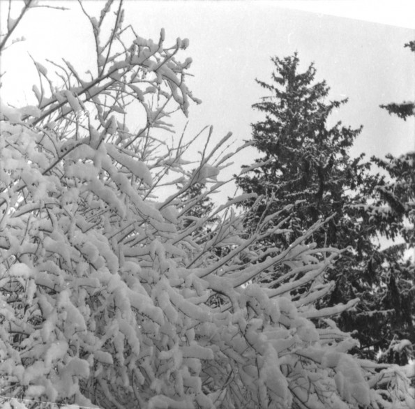 Emmanuel Missionary College Campus Scenes (Winter)