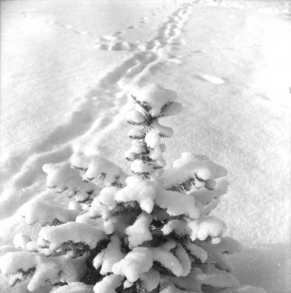 Emmanuel Missionary College Campus Scenes (Winter)