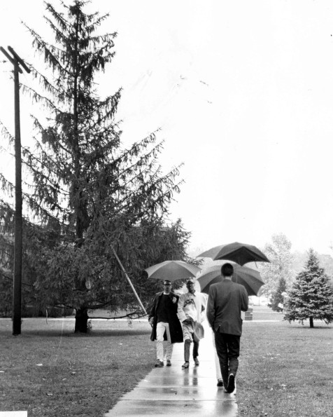 Andrews University Campus Scenes