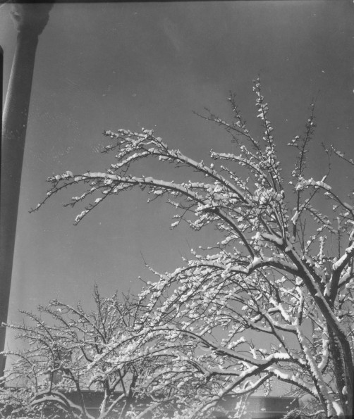 Emmanuel Missionary College Campus Scenes (Winter)