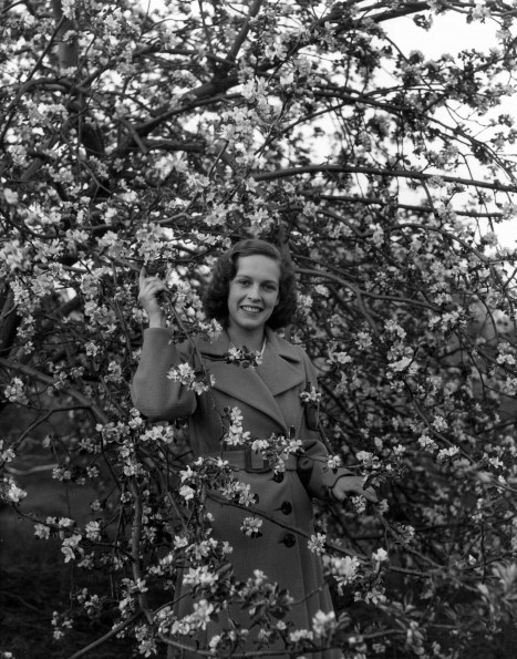 Emmanuel Missionary College Campus Scenes