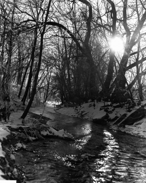 Andrews University Campus Scenes (Winter) (Lemon Creek)