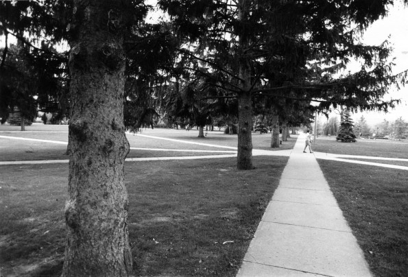 Andrews University Campus Scenes