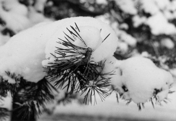 Emmanuel Missionary College Campus Scenes (Winter)