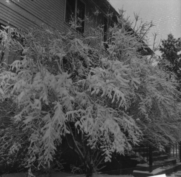 Emmanuel Missionary College Campus Scenes (Winter)