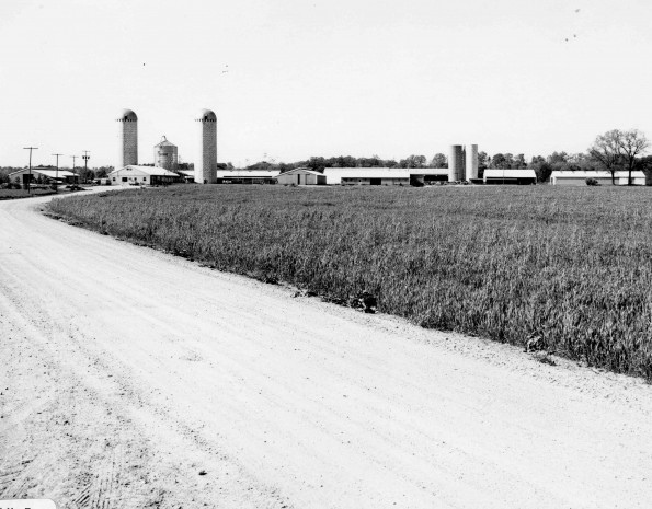 Andrews University Dairy