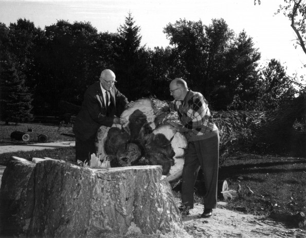 Andrews University Campus Scenes