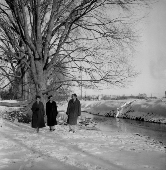 Emmanuel Missionary College Campus Scenes (Winter) (River)