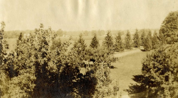 Emmanuel Missionary College Campus Scenes (Pines)