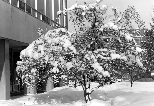 Emmanuel Missionary College Campus Scenes (Winter)