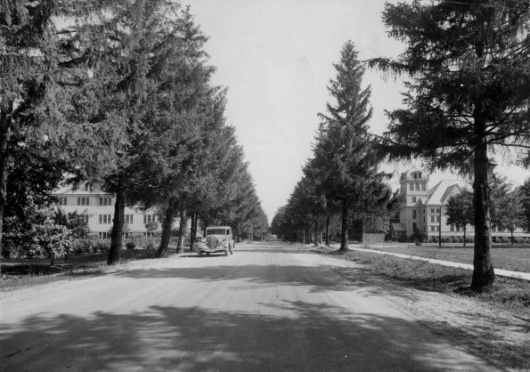 Emmanuel Missionary College Campus Scenes (College Avenue)