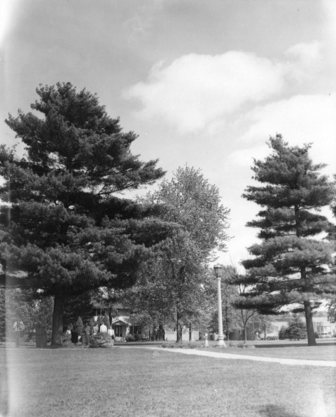 Emmanuel Missionary College Campus Scenes