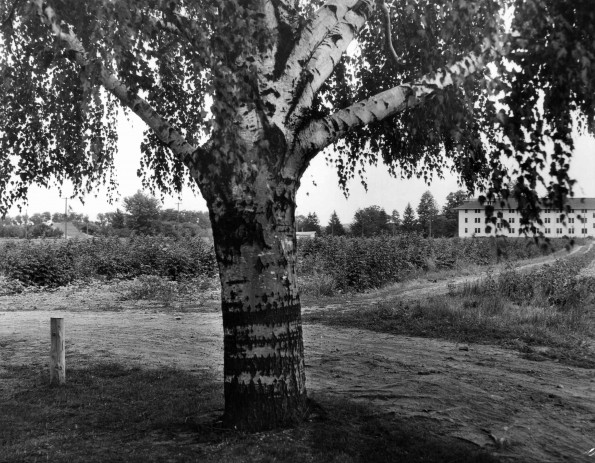 Emmanuel Missionary College Campus Scenes (Burman Hall)