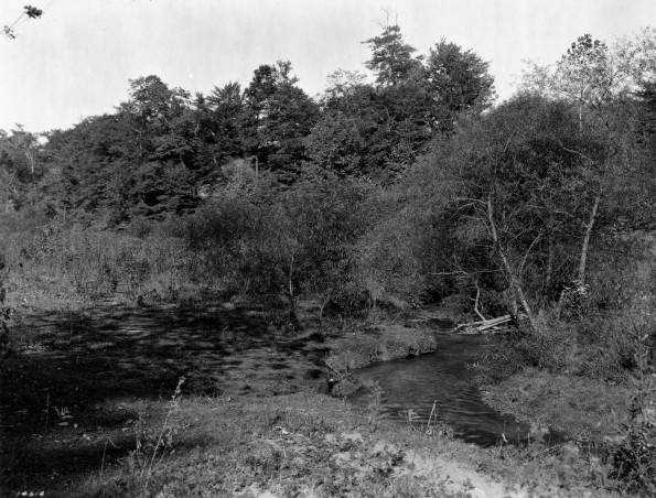 Emmanuel Missionary College Campus Scenes (Lemon Creek)