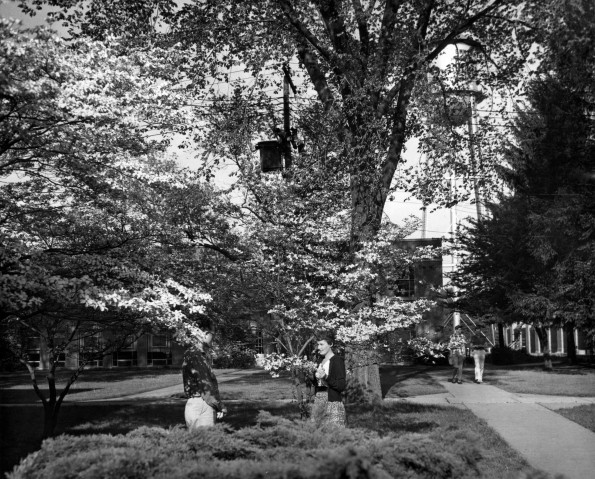 Andrews University Campus Scenes