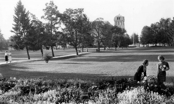 Emmanuel Missionary College Campus Scenes (Garden)