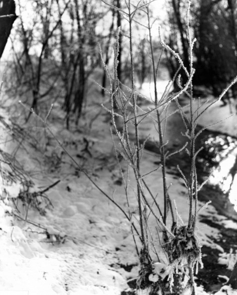 Andrews University Campus Scenes (Winter)