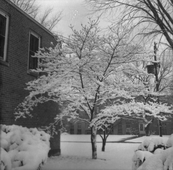 Emmanuel Missionary College Campus Scenes (Winter)