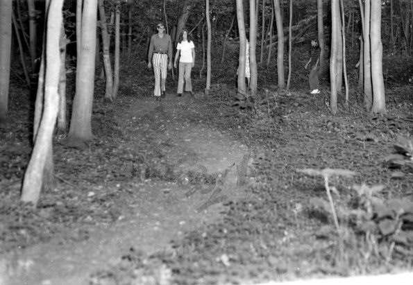 Andrews University Campus Scenes (Lowland Trails System)