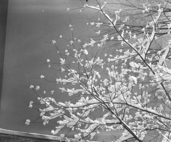 Emmanuel missionary College Campus Scenes (Winter)