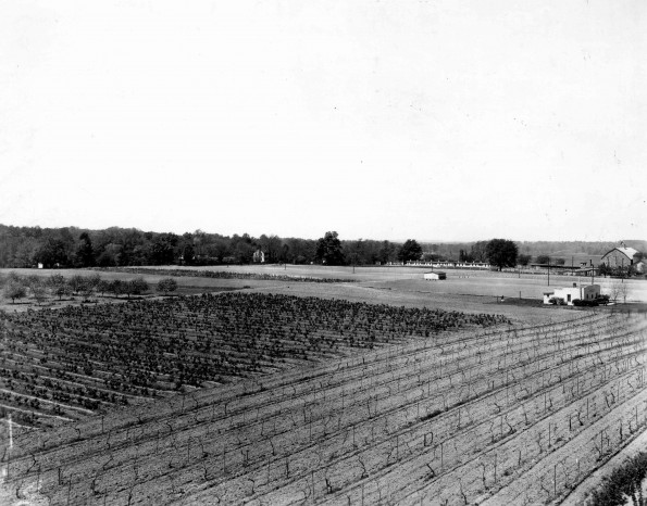 Emmanuel Missionary College Campus Scenes (Field)