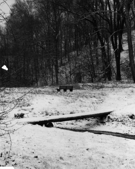 Andrews University Campus Scenes (Winter) (Lemon Creek)