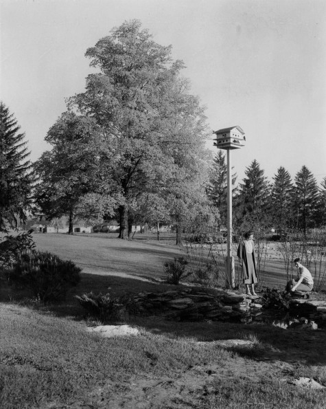 Emmanuel Missionary College Campus Scenes (Lily Pond)