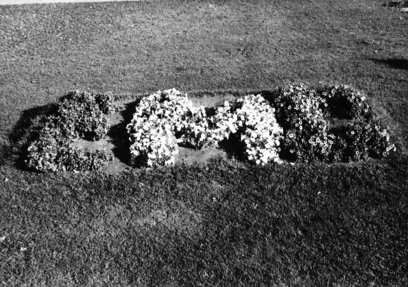 Emmanuel Missionary College Campus Scenes