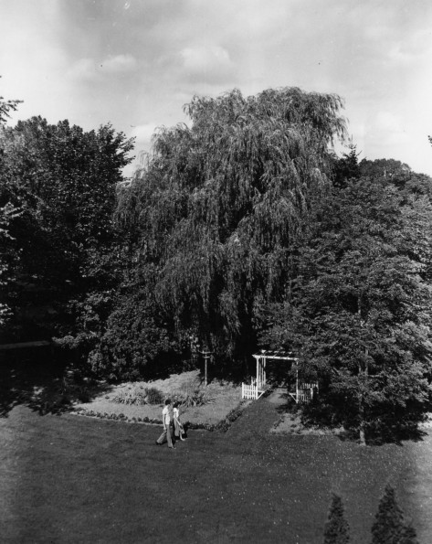 Andrews University Campus Scenes (Wooden Swings)