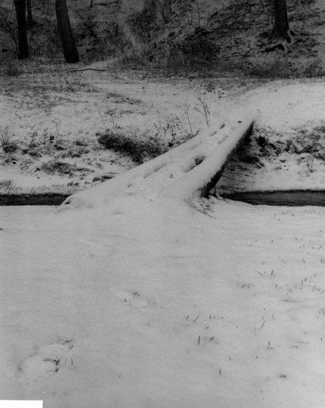 Andrews University Campus Scenes (Winter) (Lemon Creek)