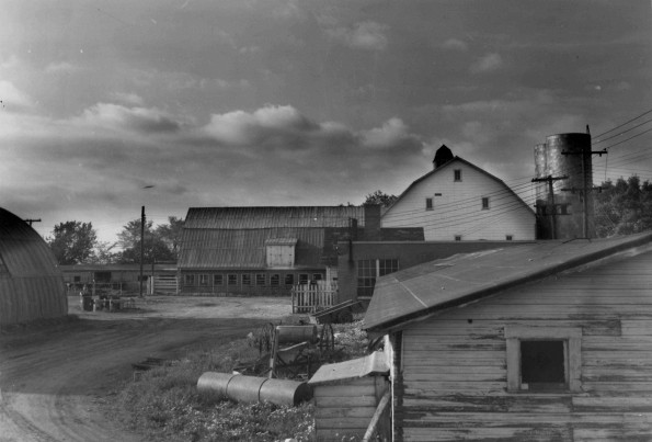 Andrews University Dairy