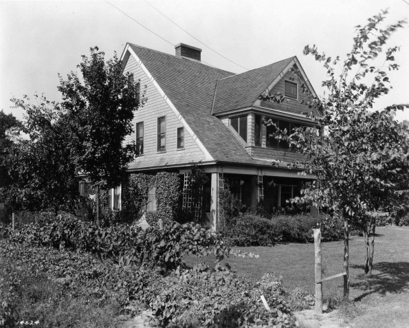 Emmanuel Missionary College Shamrock