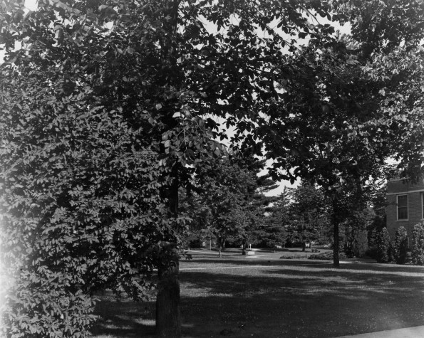 Andrews University Campus Scenes