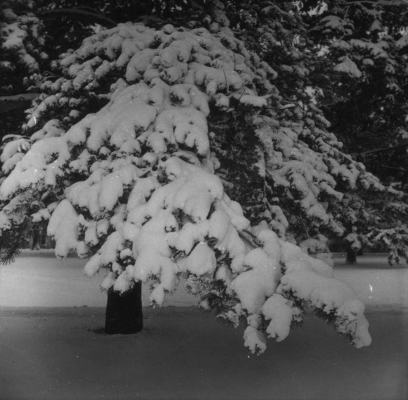 Emmanuel Missionary College Campus Scenes (Winter)