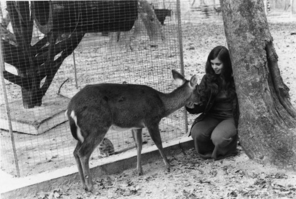 [Andrews University alumna petting a deer at a zoo in Florida]