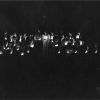 [1976 Lamplighter ceremony at Andrews University alumni homecoming weekend]