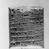 [A cuneiform tablet on display in the Andrews University Archaeological Museum]