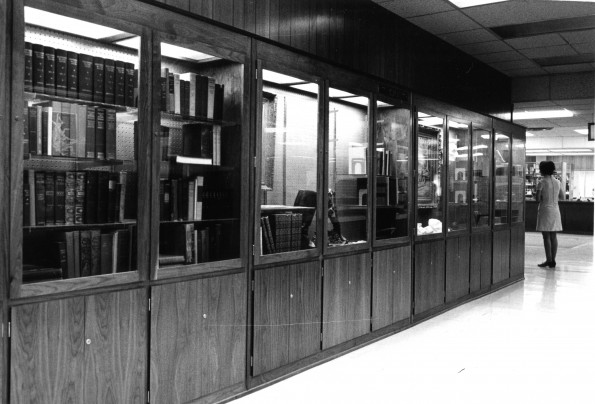 [American Civil War exhibit at James White Library]