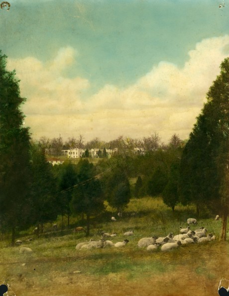 [Madison Rural Sanitarium and Hospital]