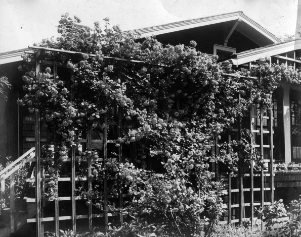 Home of Lida F. Scott