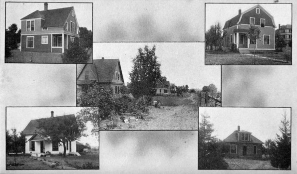 [Homes of the faculty of Emmanuel Missionary College]