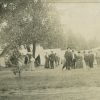 [Rochester, New York, Seventh-day Adventist camp meeting of 1909]