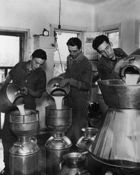 [Three unknown men working at the Emmanuel Missionary College dairy]