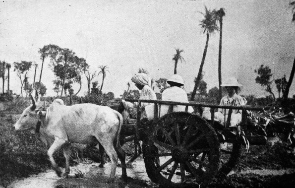 Cross country in the Berars