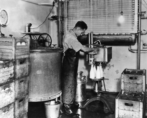 [An unknown man working at the Emmanuel Missionary College dairy]