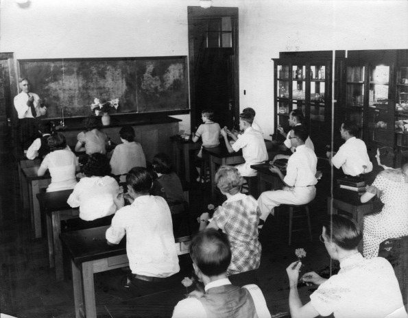 [A Madison College professor teaching a botany class]
