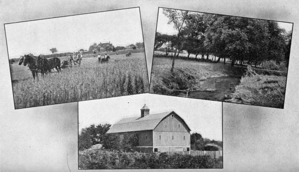 [Scenes from the farm at Emmanuel Missionary College]