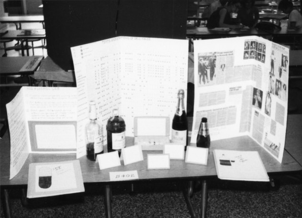 A student project at the Pathfinder Education Fair in Alexandria, LA